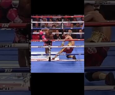 Terrence Crawford vs Jose Benavidez | HIGHLIGHTS #terencecrawford #fight #josebenavidez #boxing