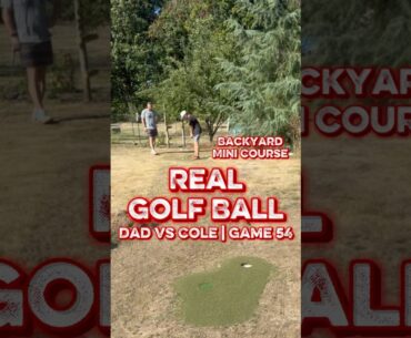After many request, we finally use a Real Golf Ball! #backyarddesign #backyard #golf #golfaddict