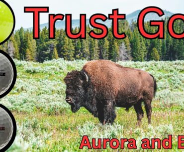 Trust Golf K9 Aurora and Bison Power Series Golf Ball Reviews: A Real Contender to be my New Gamer