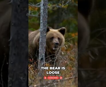 NFL Week 3 Panic? Giants Struggle! Don't Miss This! #shorts