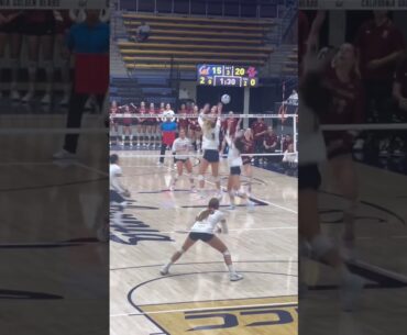 #volleyball  #fyp #waitforit #womensvolleyball