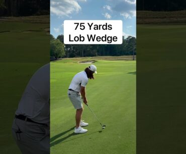 Can A World Long Drive Champ Beat a Korn Ferry Tour Pro? 🤔