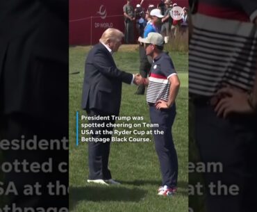 President Trump cheers on Team USA at Ryder Cup #shorts