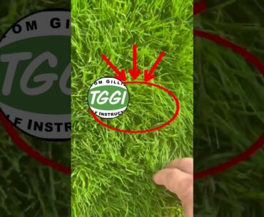 Golf Course Secrets You Never Knew!