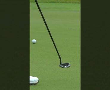 Greens can be cruel… and beautiful ⛳️