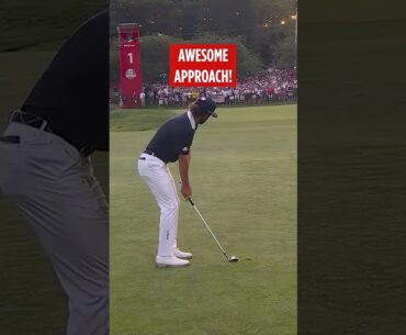 Cameron Young makes the crowd go CRAZY with this approach! 🤯