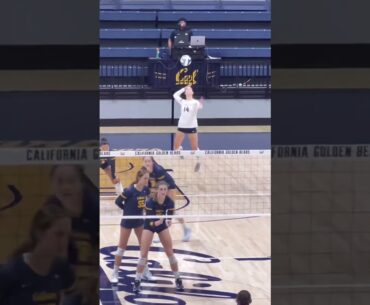 #volleyball  #fyp #waitforit #womensvolleyball