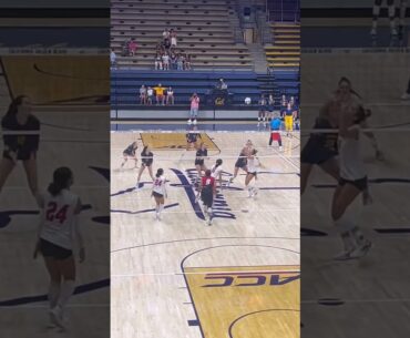 #volleyball  #fyp #waitforit #womensvolleyball