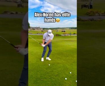 Alex Noren Showing Off INSANE Touch😳