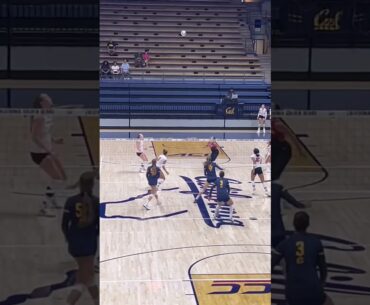 #volleyball  #fyp #waitforit #womensvolleyball