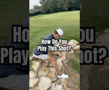 What’s the play here?       #funny #golf