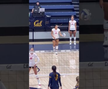 #volleyball  #fyp #waitforit #womensvolleyball