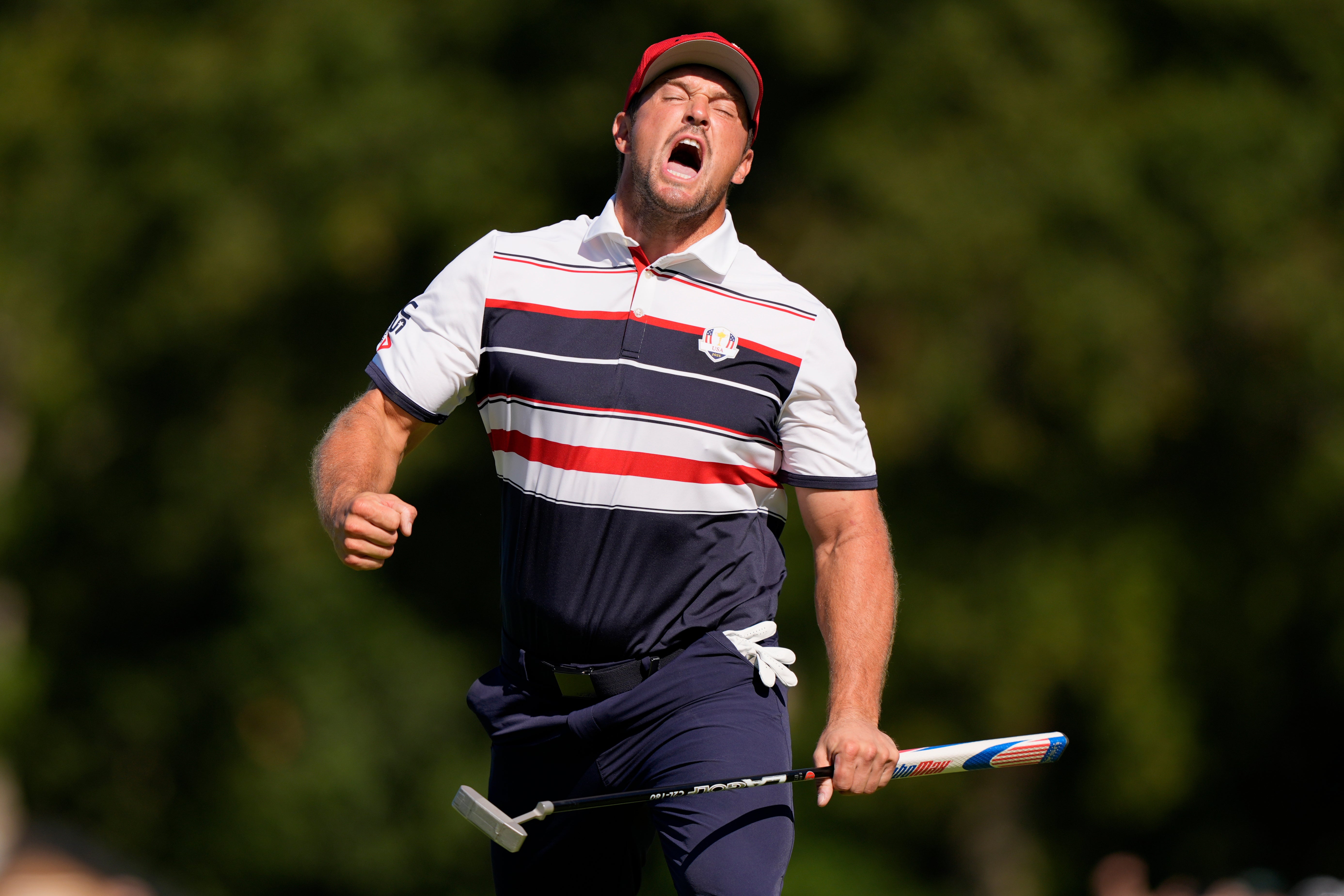 DeChambeau celebrates earning a half point