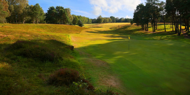 Royal Ashdown Forest