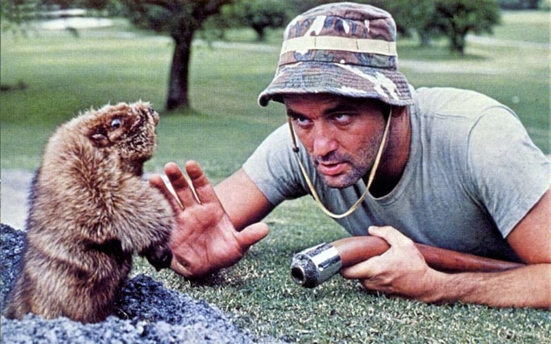 Carl Spackler (Bill Murray) takes on his nocturnal nemesis in comedy classic Caddyshack 