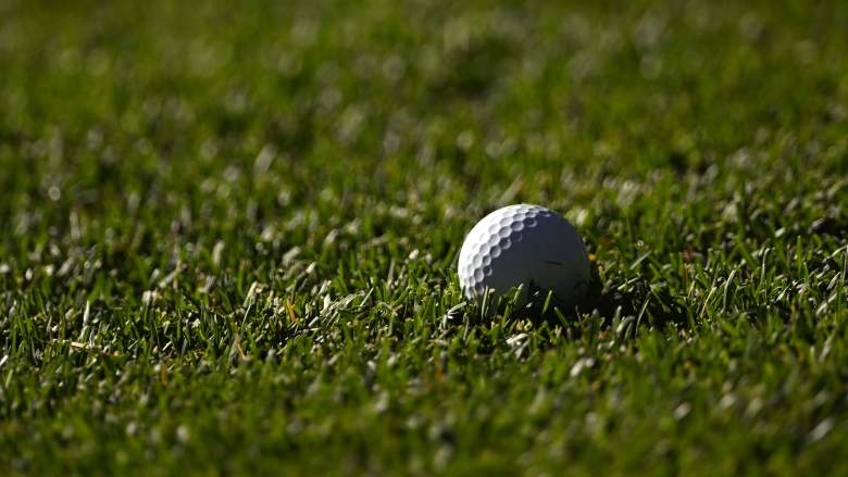 Golf ball in grass
