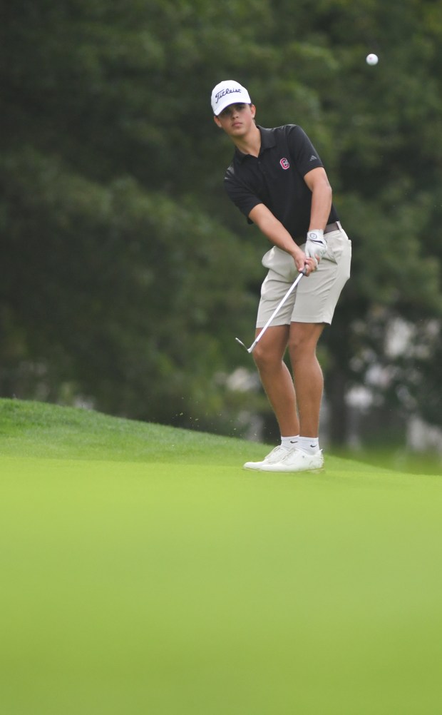 Crestwood’s Brady Johnson chips at Fox Hill Country Club in...