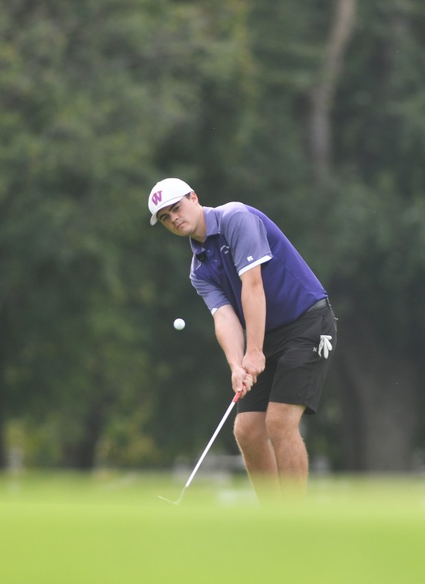 Wallenpaupack’s Jaymison Ostrowski chips at Fox Hill Country Club in...