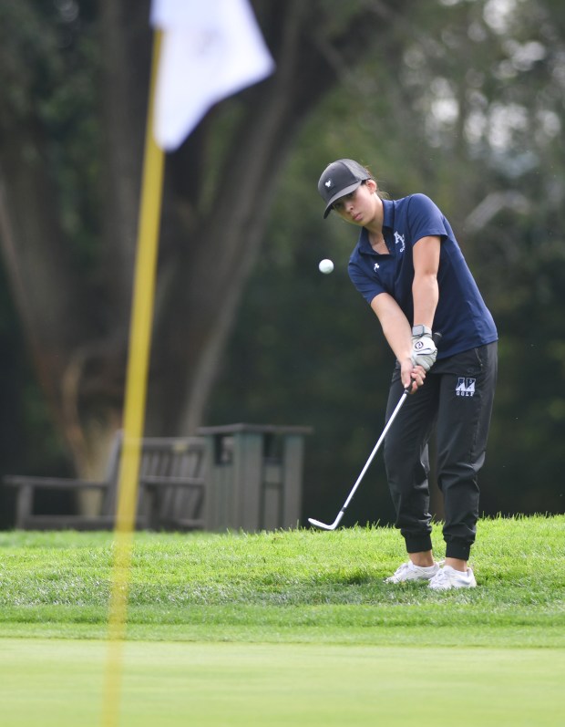 Abington Heights’ Brianna Moffatt chips at Fox Hill Country Club...