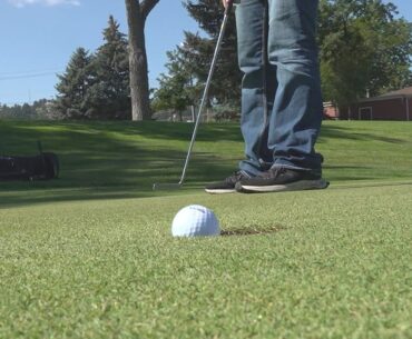 ‘Birdies Fore Raptors’ golf tournament supports rehabilitation for birds of prey