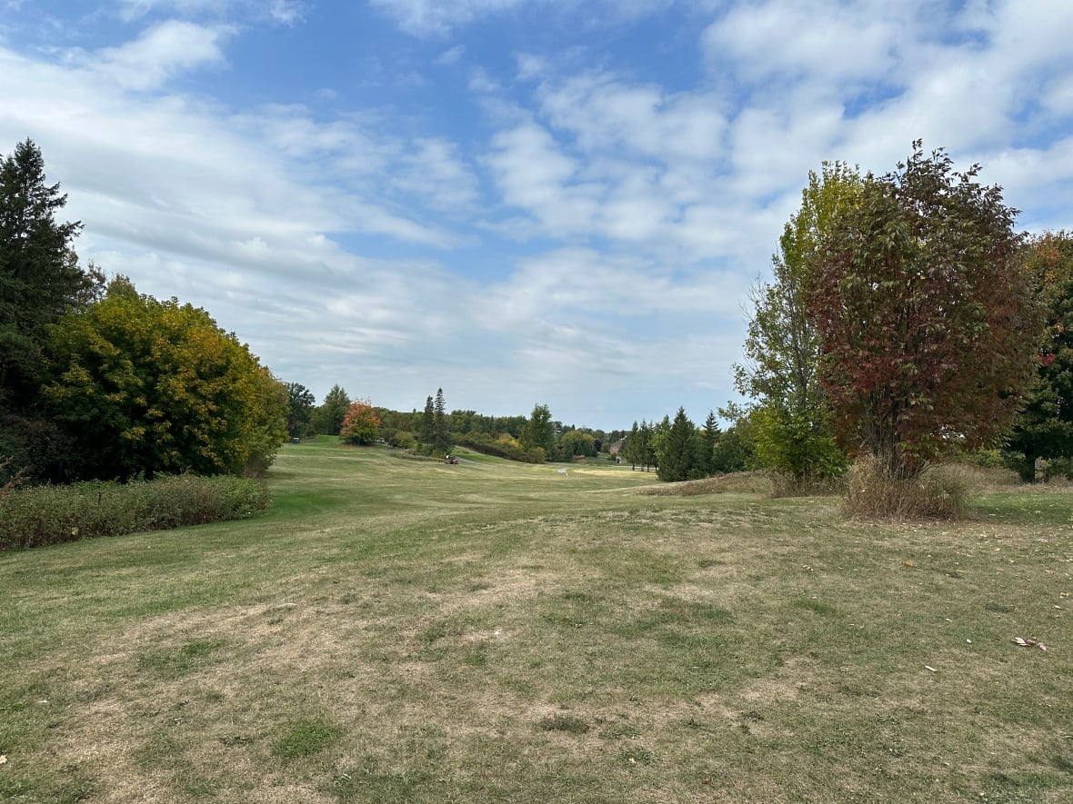 A golf course fairway with several people on the course in the distance.