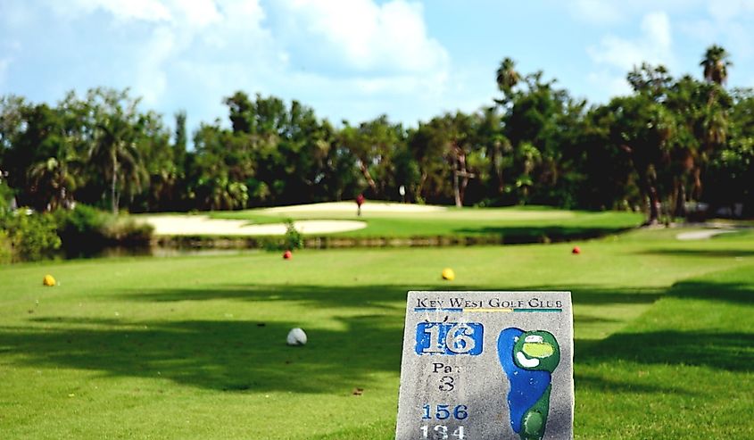 : View of the sixteenth hole on the Key West Golf Course