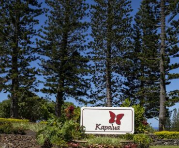 Kapalua golf course without irrigation for 7 days under worsening water restrictions
