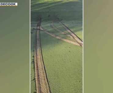 Rochester golf course offering $2k reward after vandal causes green, fairway damage