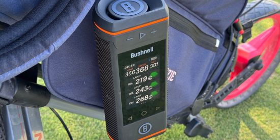 Bushnell Wingman HD screen view