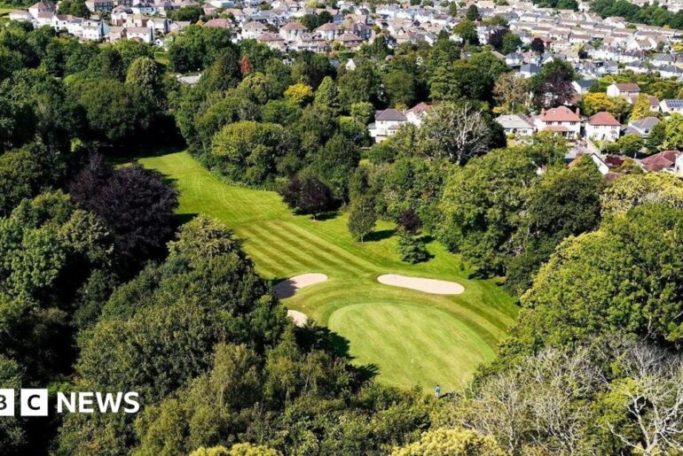 Whitchurch Golf Club in Cardiff puts seventh hole on the market An aerial photo shows the seventh hole, surrounded by trees. Houses can be seen on the right hand side and behind the golf course.