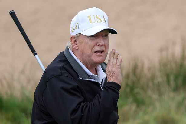 A photo of Donald Trump 