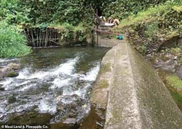 Yanai's company filed a lawsuit in August against the Maui Land & Pineapple Company Inc. which owns the Honokohau ditch system, pictured, that provides the gold courses with water