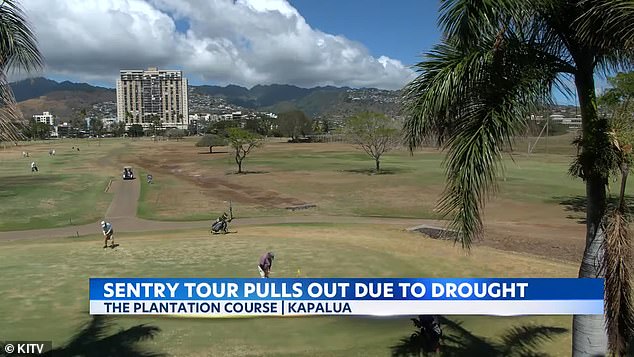 The billionaire's lawsuit includes images of the brown golf courses and claims the company 'has abused the trust of residents, farmers, and businesses in Kapalua and parts of West Maui, all of whom are now being starved for irrigation water'