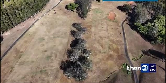 Amid Hawaii's drought, Yanai's golf courses have been left baked and brown from lack of irrigation and forced to reduce their rates by hundreds of dollars.
