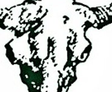 CMR Jack Pinski third at Montana State AA Golf state tournament