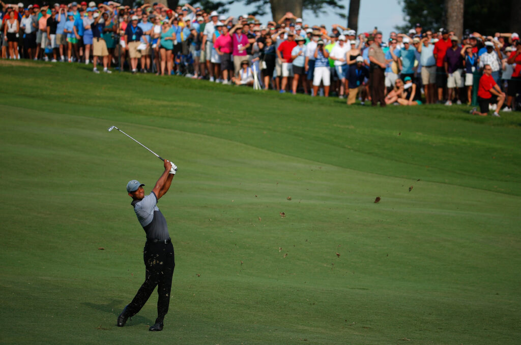 Tiger undergoes successful back surgery, is hopeful to return in early 2016 Tiger undergoes successful back surgery, is hopeful to return in early 2016