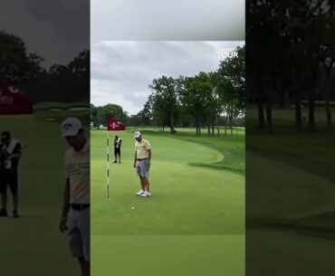 Have You Ever Played on Greens Like THIS? 🤯 | Incredible Golf Shots