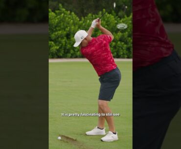 Gary Woodland’s NEGATIVE LAUNCH ANGLE Stinger 😍 Gary Woodland's NEGATIVE LAUNCH ANGLE Stinger 😍
