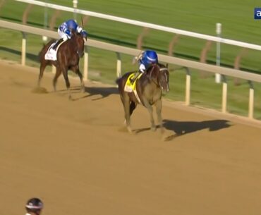 HISTORY IS MADE! | Sovereignty dazzles in the Travers Stakes at Saratoga
