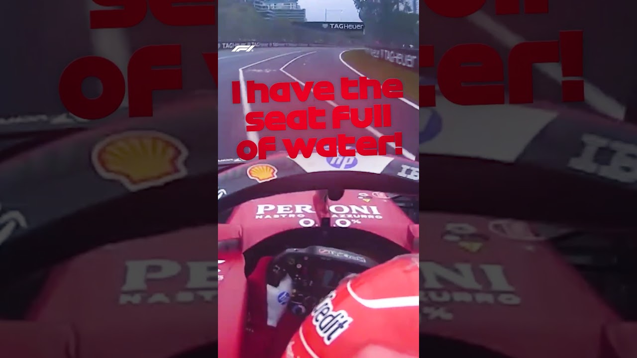 Words Of Wisdom 🤣 Words Of Wisdom 🤣