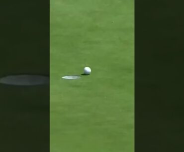 Poetry in motion! #golf #golfshorts #adamhadwin #professionalgolfer #golfswing