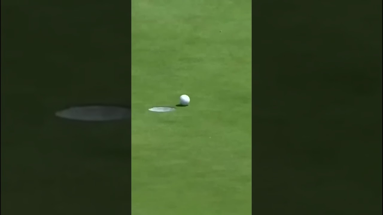 Poetry in motion! #golf #golfshorts #adamhadwin #professionalgolfer #golfswing Poetry in motion! #golf #golfshorts #adamhadwin #professionalgolfer #golfswing