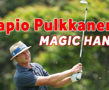 Tapio Pulkkanen: Chippen met magische handjes