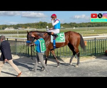 Barnes a Heavy Favorite in the 2025 Gallant Bob Stakes