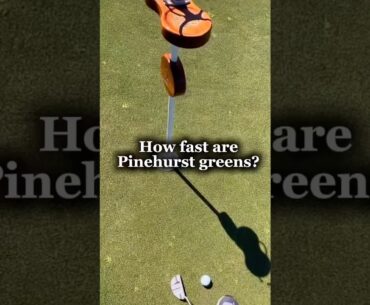 Wut fastest greens you’ve played? #golf #golfswing #golfer #golflife #pinehurst #golfcourse #sports Wut fastest greens you’ve played? #golf #golfswing #golfer #golflife #pinehurst #golfcourse #sports