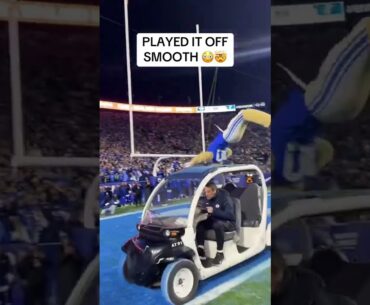 The BYU mascot is different 😳 (via @CosmotheCougar/TT)