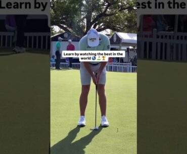 Sam Burns ⛳️ What Junior Golfers Can Learn from One of the World’s Best Putters 🎯 Sam Burns ⛳️ What Junior Golfers Can Learn from One of the World’s Best Putters 🎯