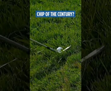 GREATEST Ryder Cup chip-in? 🤯
