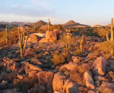 Troon North Golf Club | Showcase