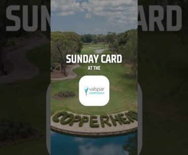 Sunday Card & Sunday Sweat at the Valspar Championship - Jacob Bridgeman at +6600 tied for the lead